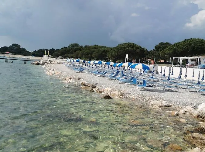 Apartman Olivia Medulin